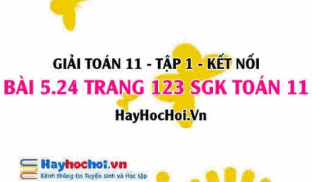 Giải bài 5.24 trang 123 Toán 11 tập 1 SGK Kết nối tri thức